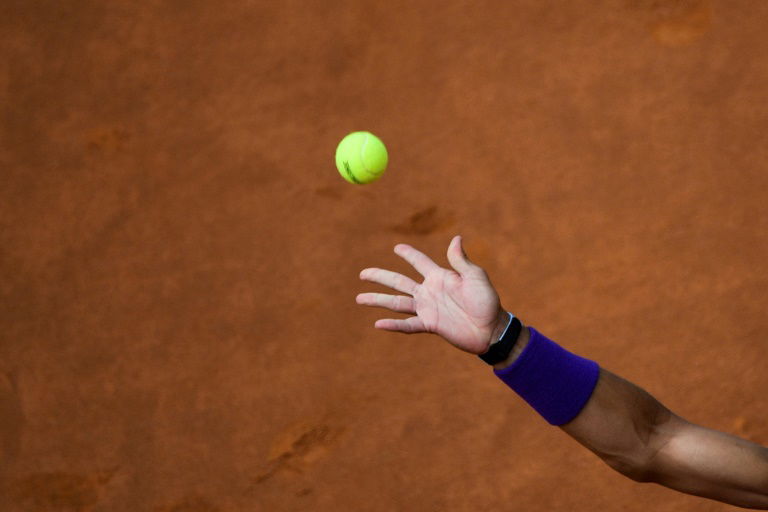 Richard Gasquet qualifié pour la finale du tournoi d'Umag