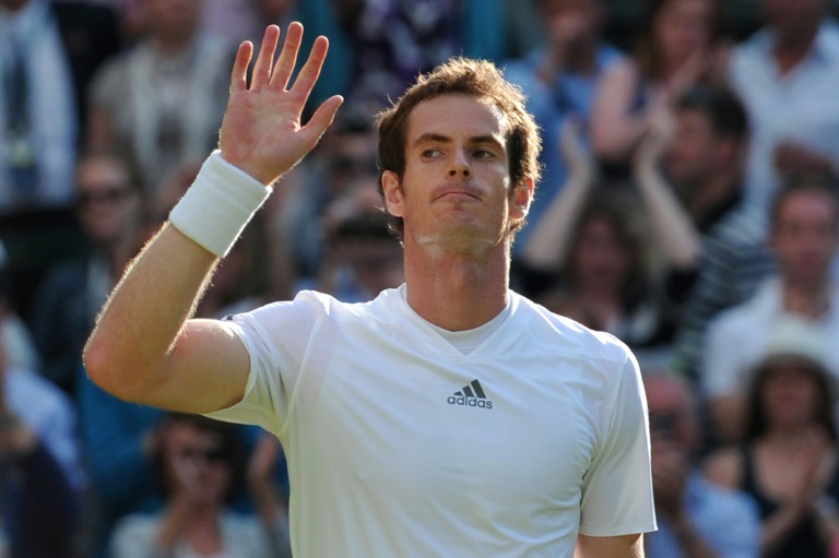 Murray, Djokovic cleared for Wimbledon duty