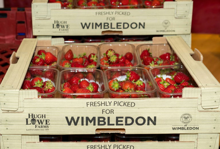 Wimbledon cancellation gives food for thought