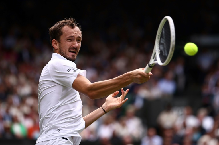 Medvedev called umpire 'small cat' during Wimbledon rant