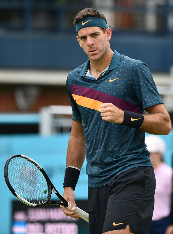 Fracture du genou pour Del Potro, forfait pour Wimbledon