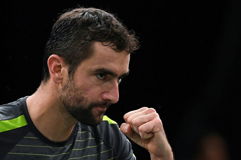 Cilic pulls out of Croatia's Davis Cup squad due to injury