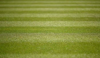 Isner et Cilic interrompus par la nuit 