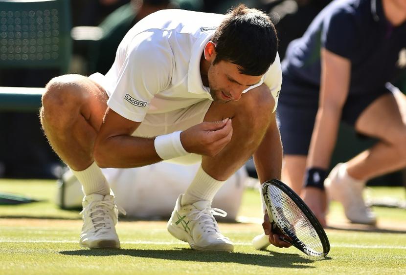 Djokovic a mangé du gazon du Centre Court de Wimbledon