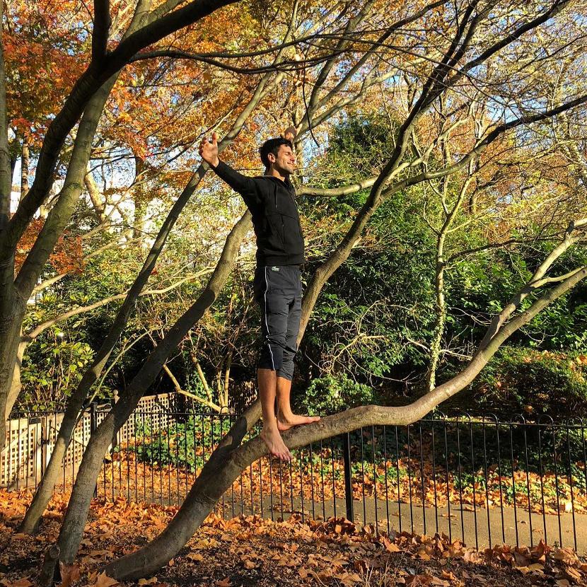 Djokovic est allé puiser de l'énergie auprès des arbres avant sa finale face à Zverev à Londres