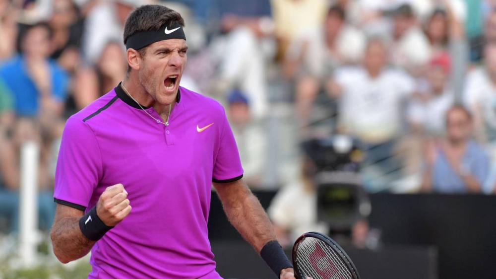 Del Potro : J'ai bien servi