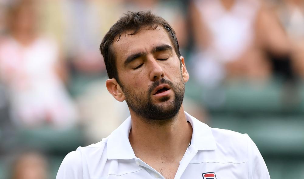 Pella renverse Cilic 