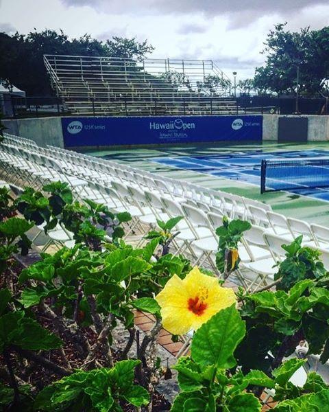 La pluie s'en mêle à Hawaii où seuls 3 des 11 matchs programmés lundi ont pu aller à leur terme