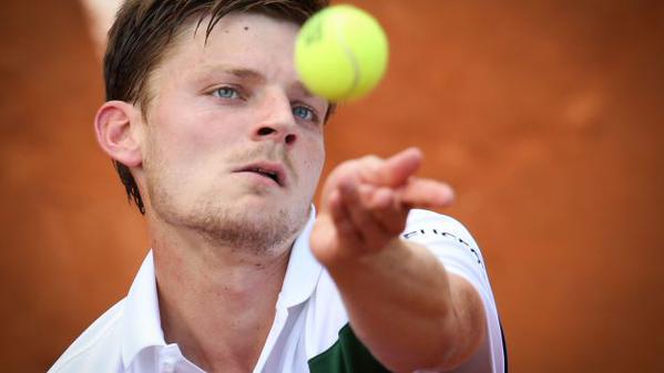 Goffin et Darcis en simple pour la Belgique vendredi