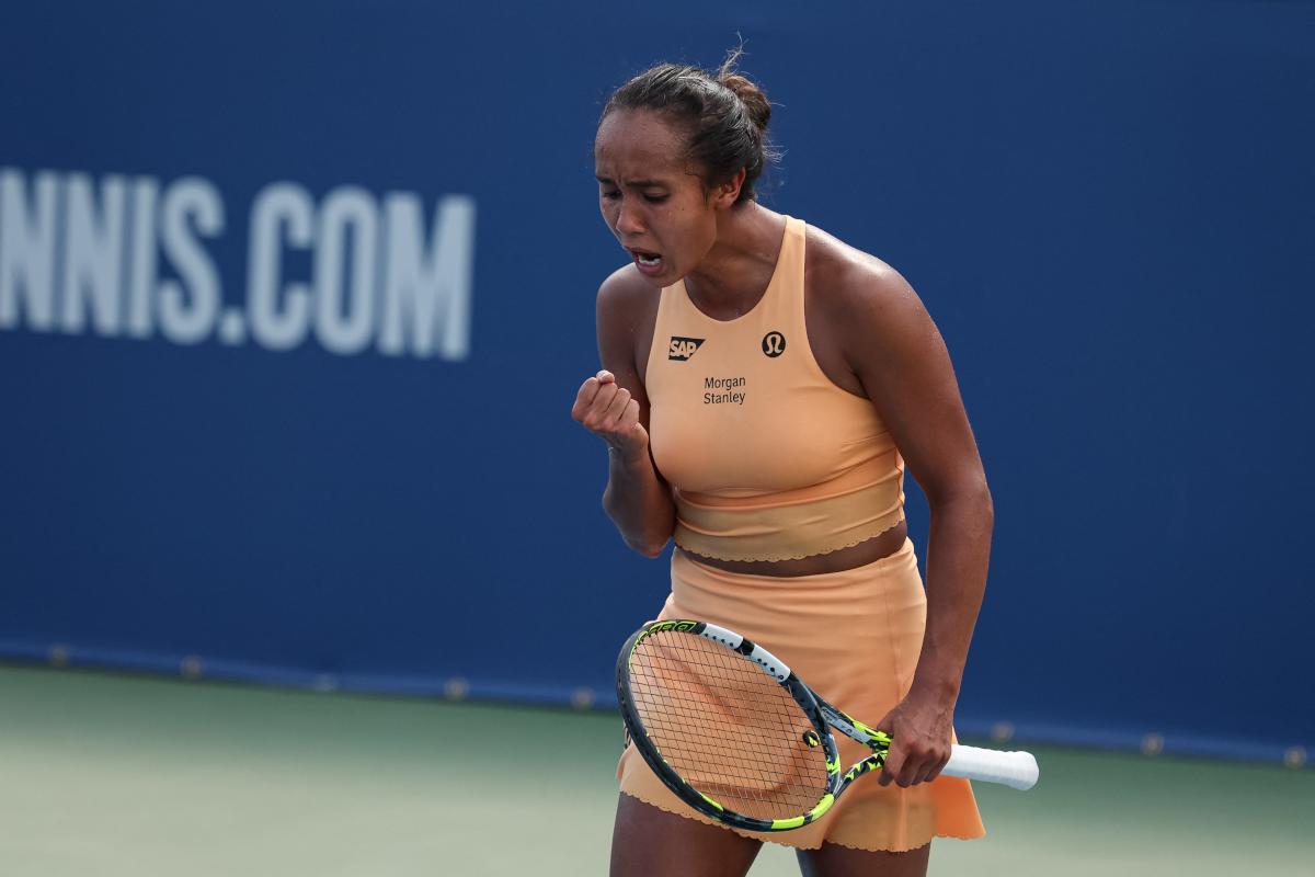 Fernandez rejoint la finale à Washington après un gros combat contre Rybakina
