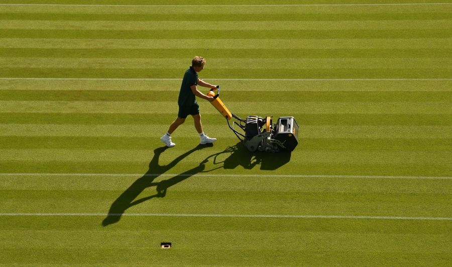 No tennis this Sunday at Wimbledon, grass is having a rest