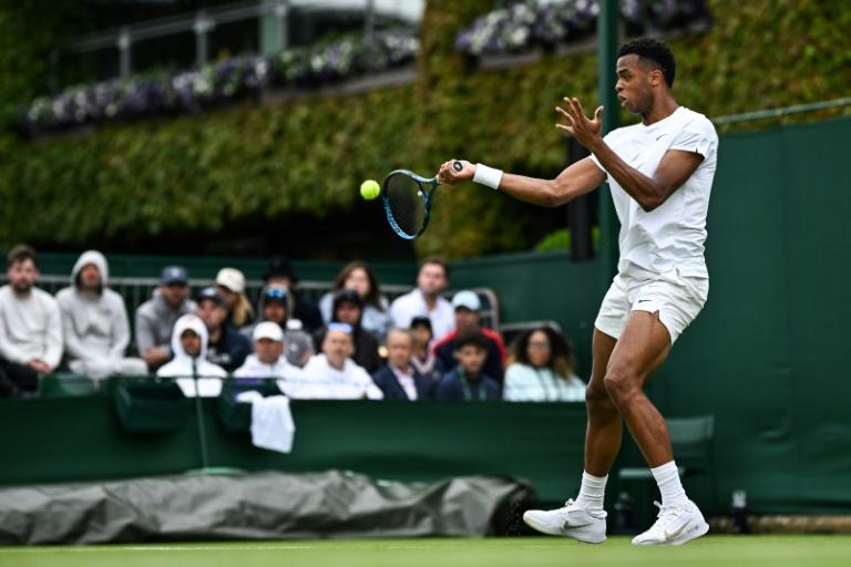 Davis Cup - Mpetshi Perricard wird das französische Team kennenlernen!