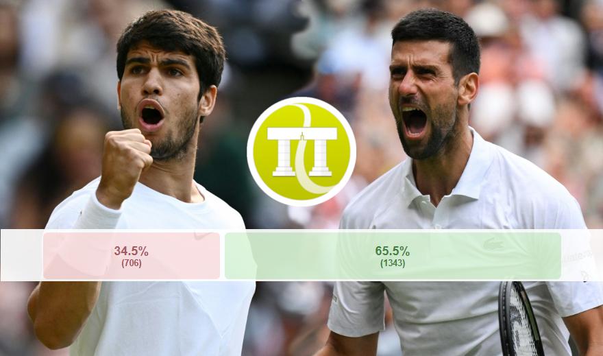 Pronostics TT Djokovic nettement favori face à Alcaraz